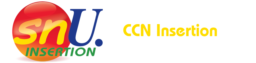 CCN Insertion