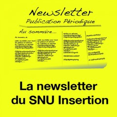 Newsletter Insertion n°2