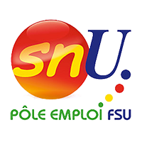 Thibaut GUILLUY nommé DG de Pôle emploi : les questions du SNU Pôle emploi FSU lors de son audition