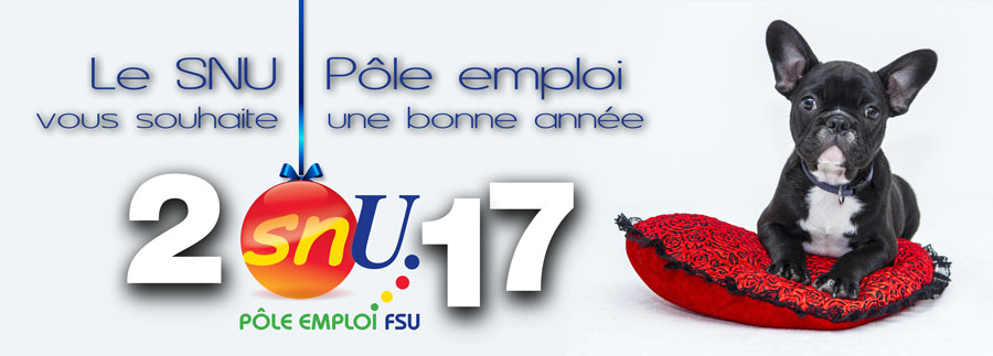 Voeux snu 2017 900