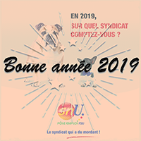 Bonne Année 2019