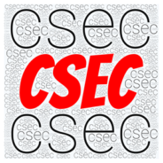 FLASH CSEC 27 JUILLET 2021