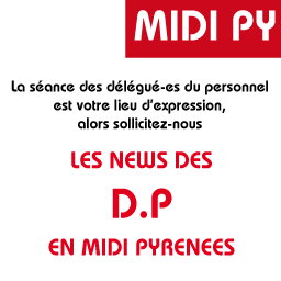 DP JUILLET 2015