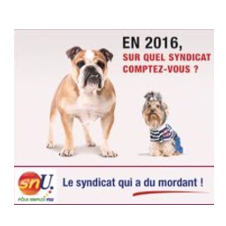 Elections professionnelles 2016