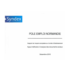 Rapport Syndex sur la politique sociale de Pôle emploi Normandie