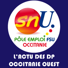 Vos DP SNU Occitanie ouest du 9 novembre