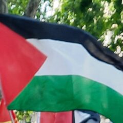 MOBILISONS-NOUS LE 14 JUIN POUR UN CESSEZ-LE-FEU IMMEDIAT A GAZA ET POUR UN ACCES SANS ENTRAVES DE L’AIDE HUMANITAIRE  !