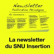 Newsletter Insertion n°1